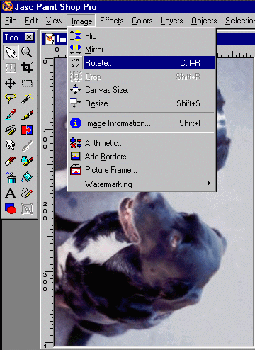 Paintshop Pro Sample