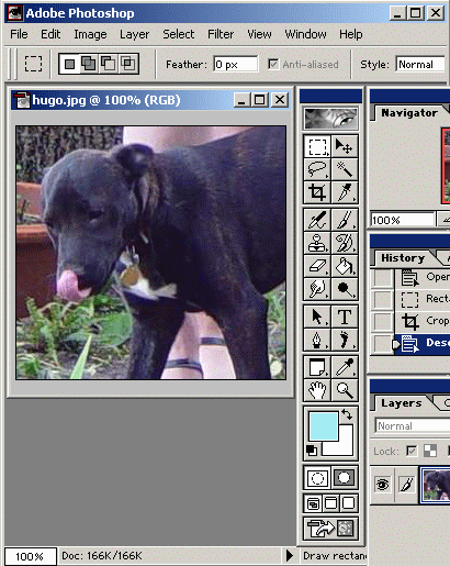 Photoshop Sample